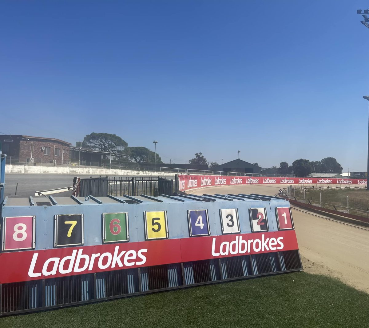 Wagga Wagga is set to have its greyhound track stripped following a report from GRNSW that suggests cutting the location as an active track.