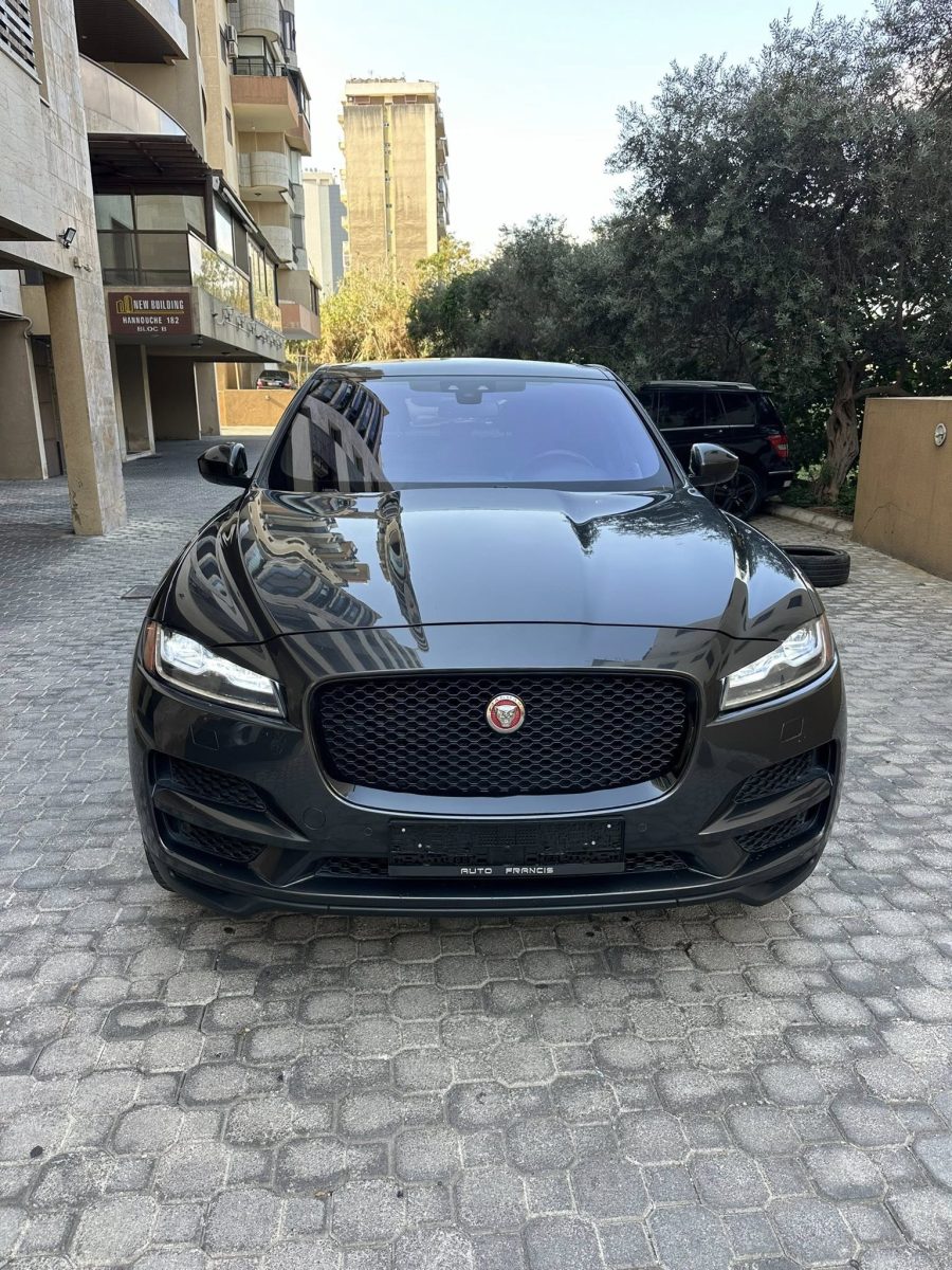 black jaguar