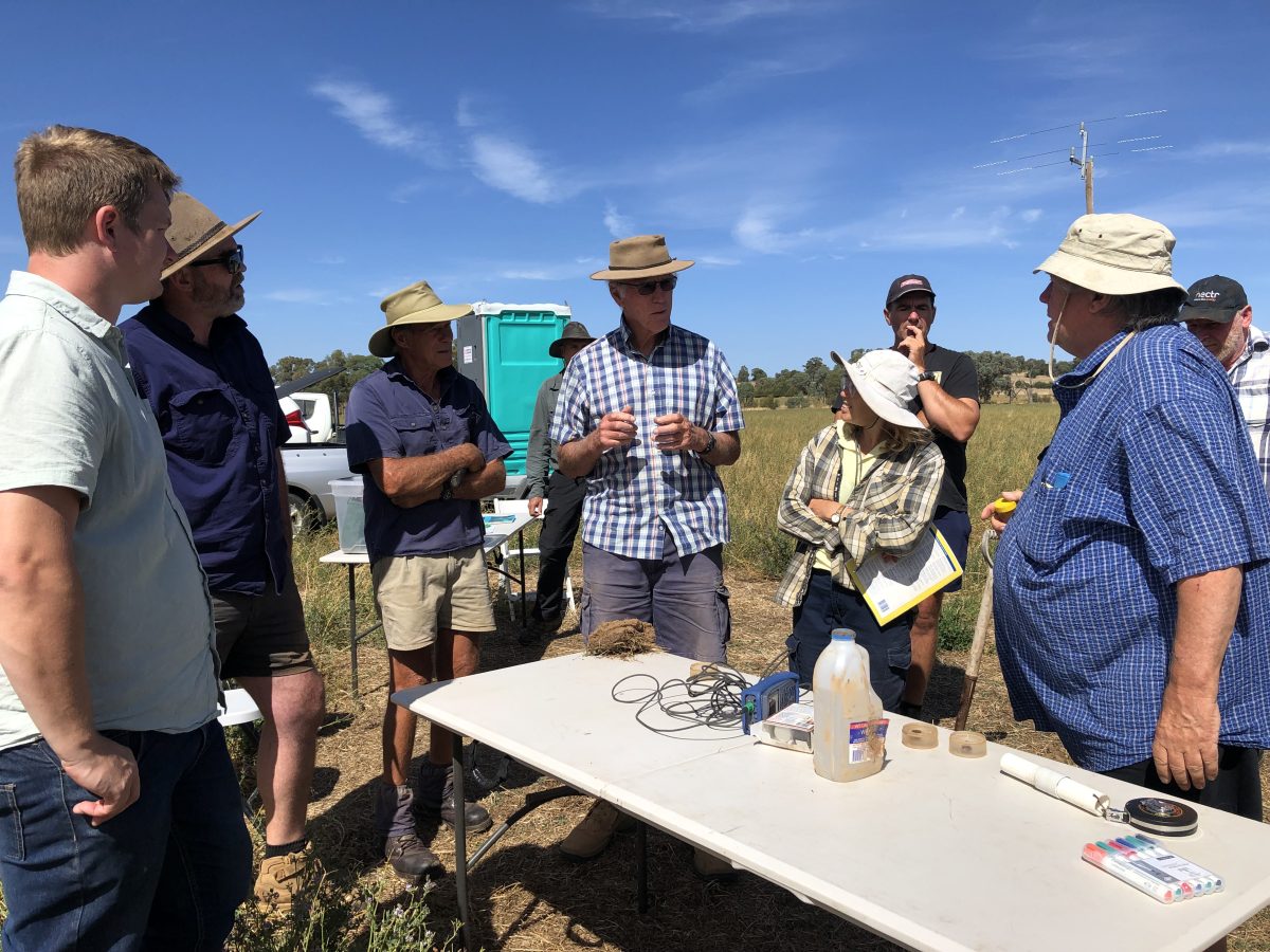 people talking around a table in a field 