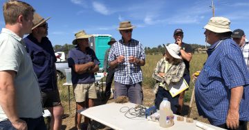 West Hume Landcare leads national charge against dryland salinity with $376k Climate-Smart grant