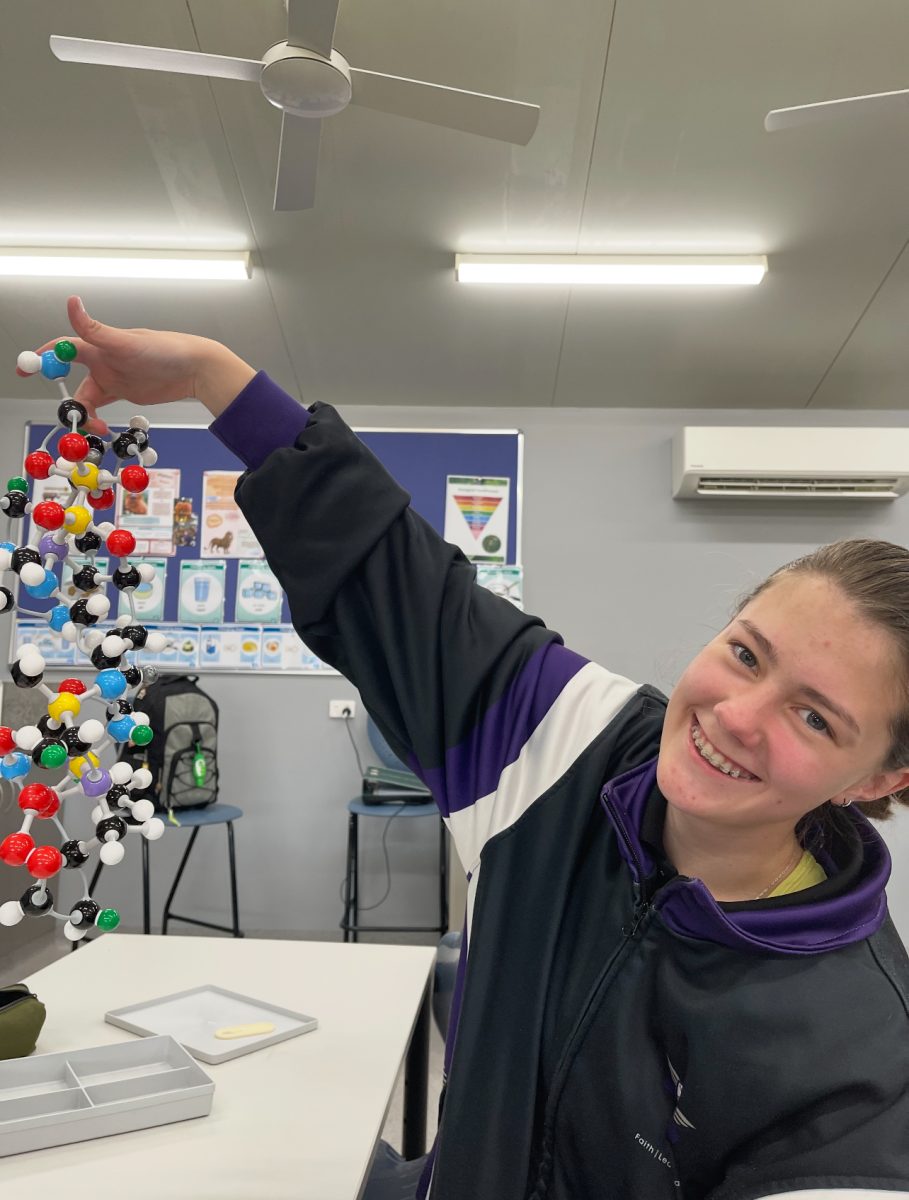 Hannah excelled at maths and dreams of becoming a vet.