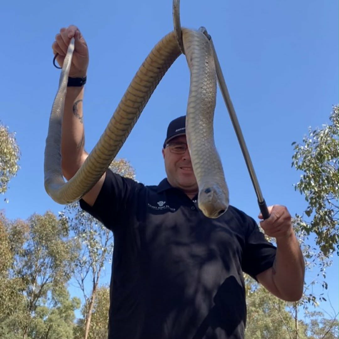 Aiden Vivian, aka the Riverina Snake Catcher, is set to have a busy summer.