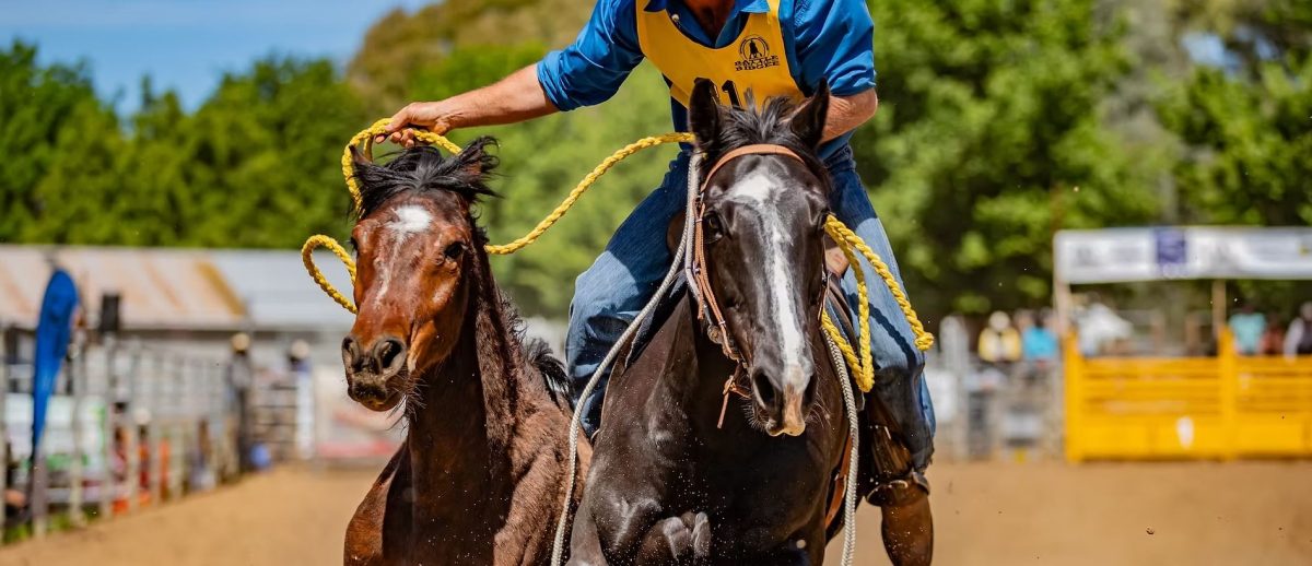 Battle on the Bidgee Stockmans Challenge 
