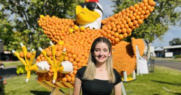 Weird, wacky and wonderful designs highlight 28th annual Griffith Citrus Sculptures Festival