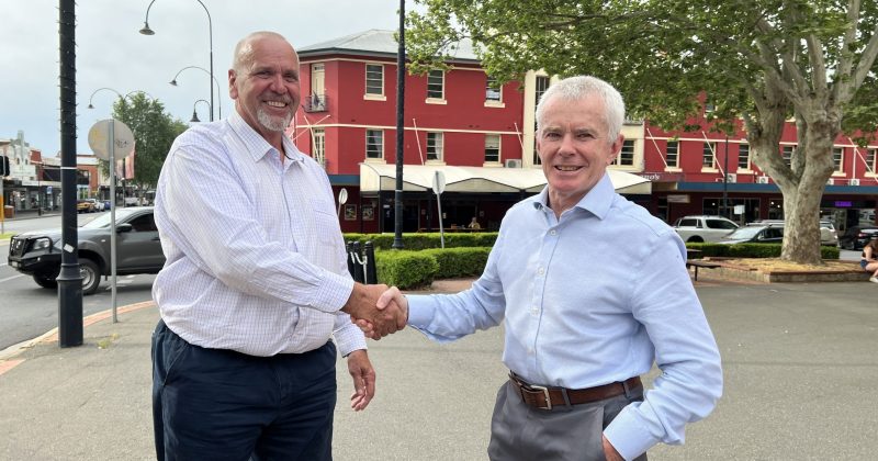 Riverina could be a ‘winnable’ seat for One Nation, says elections guru