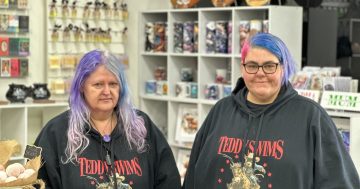 Ever wanted a Labrador crystal? Wagga duo's store is your glow-to place for something different