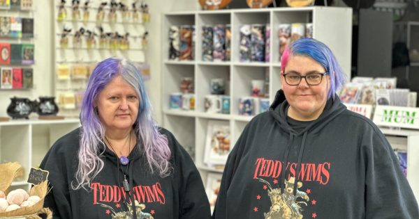 Ever wanted a Labrador crystal? Wagga duo's store is your glow-to place for something different