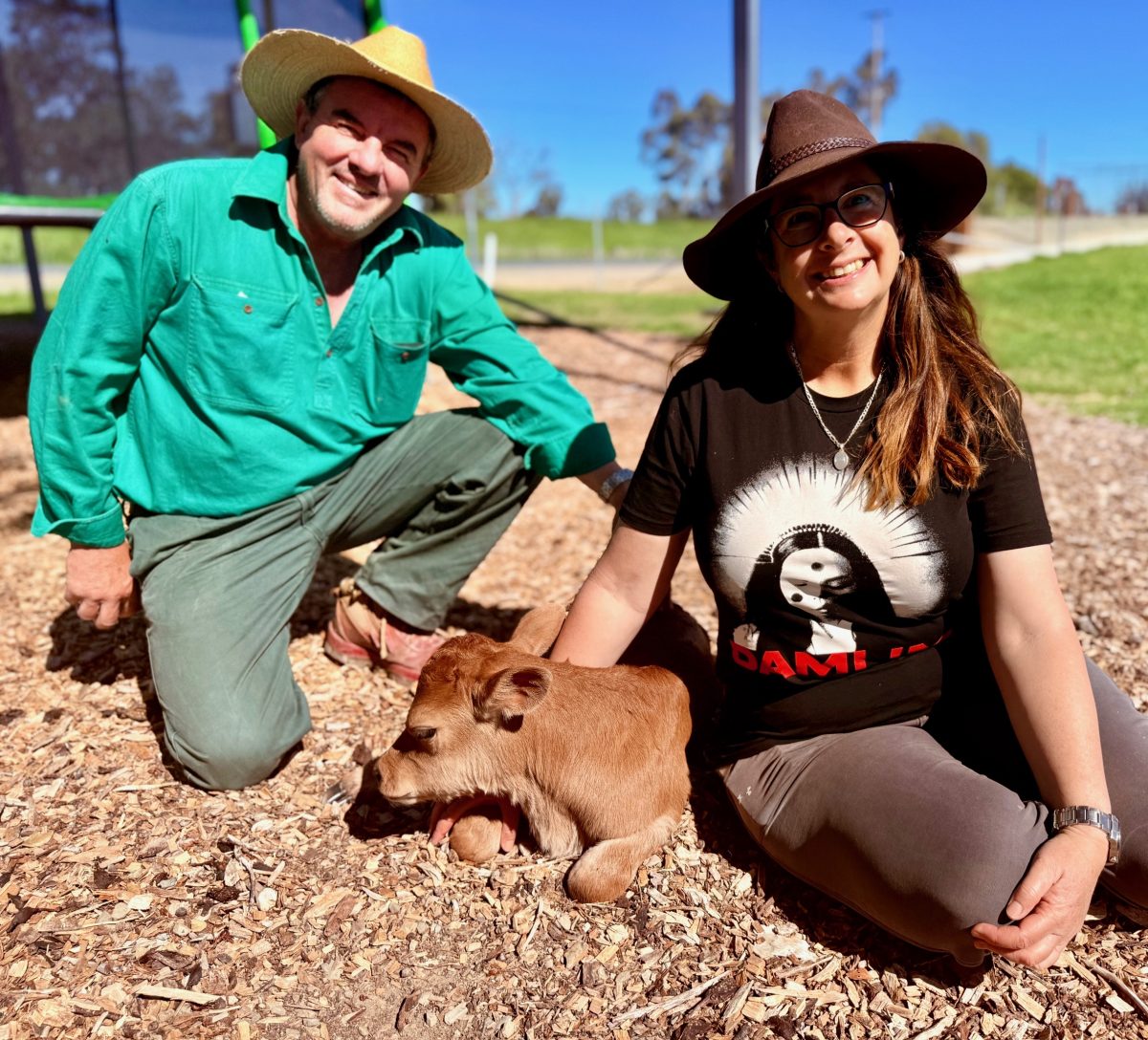 Michael and Kylie Cashen and their super cute unnamed jersey calf at Bidgee Strawberries and Cream. Picture: Marguerite McKinnon