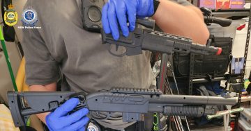 Adelong man one of 45 people arrested as police allegedly seize 518 firearms in raids across NSW