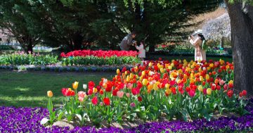 Are you on the frontlines of regional tourism? Change is afoot - have your say