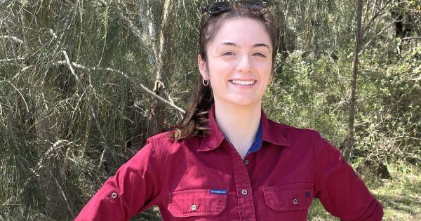 Young Wagga researcher aims to create alternative treatment for mastitis