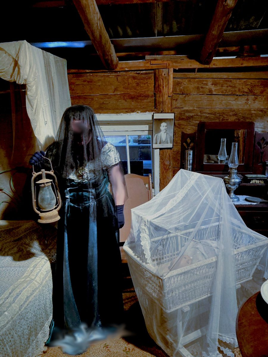 women in veil