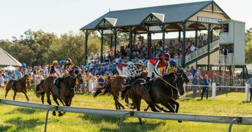 Things to do in the Riverina this week (3 – 9 October)
