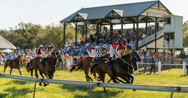 Things to do in the Riverina this week (3 – 9 October)