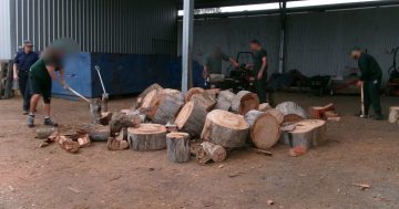 Inmates chop, split and give back: Mannus Prison raises $8000 for cancer support