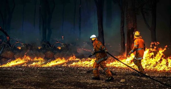 Southern Snowy Valleys enters critical weeks ahead of bushfire season