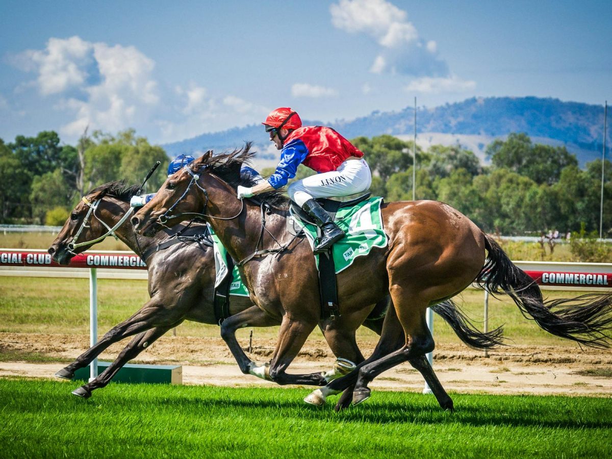 Spring Carnival Race Day - Albury Racing Club