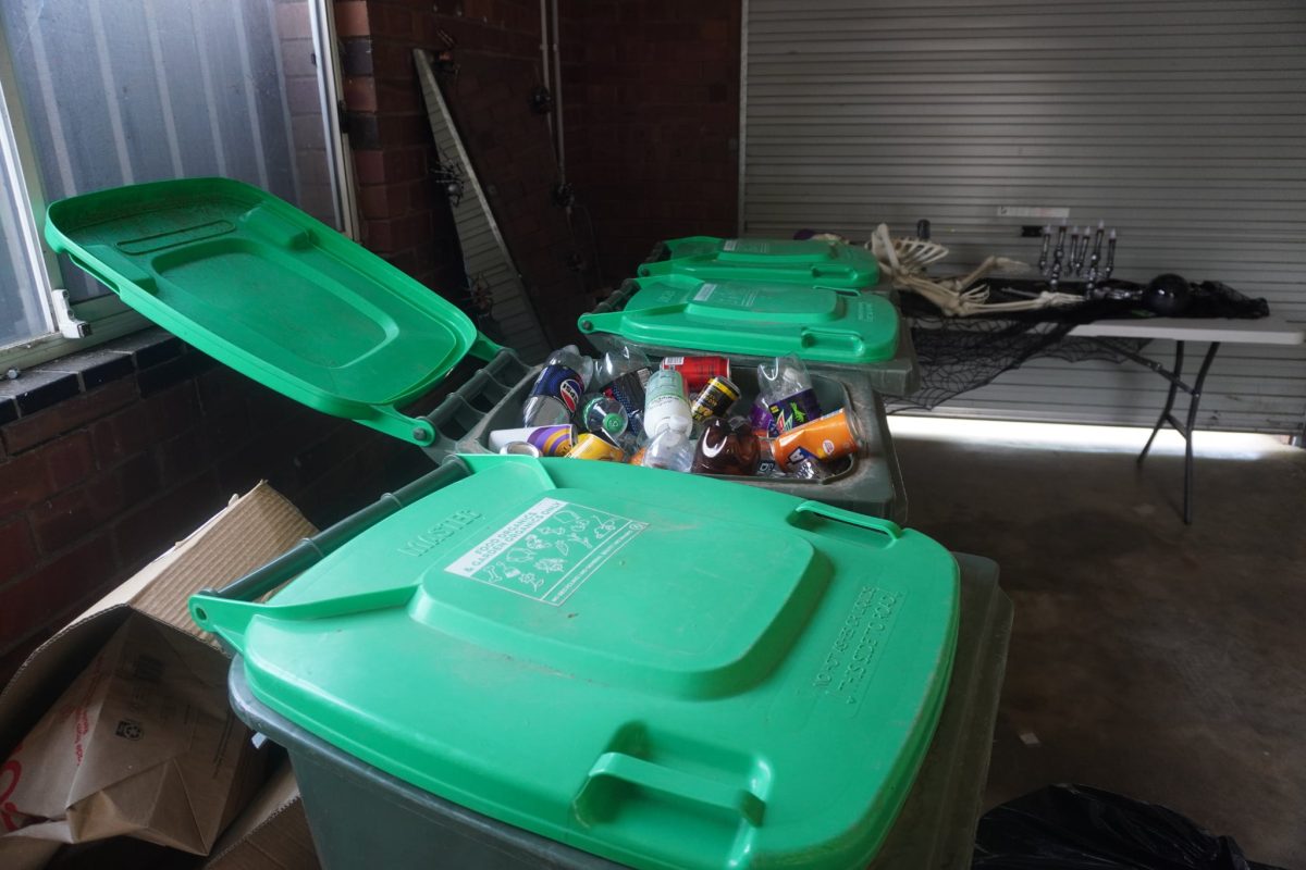 Ashton and Gabe fill more than six bins a week.