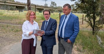 Wagga MP launches petition to duplicate Gobba Bridge