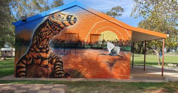 More than 20 Riverina schools shut due to 'catastrophic' fire danger