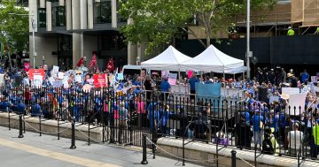 Nurses’ union fined $130,000 over strike action in Albury and Sydney
