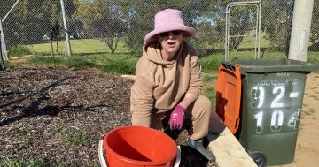 Griffith households to get food and garden waste kerbside wheelie bins by 2027