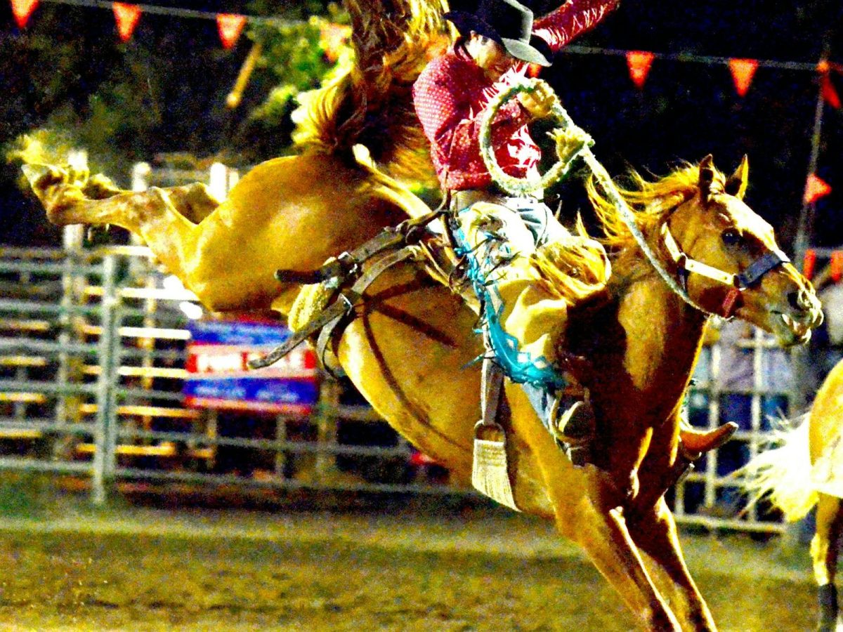 Gundagai Rodeo