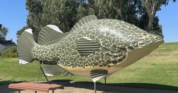 Five more 'Big Things' in the Riverina apart from Wagga's giant cod
