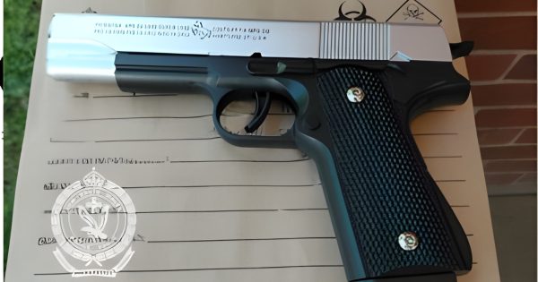 Wagga man faces court after police allegedly find gel blaster pistols at home