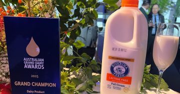 Riverina Fresh wins 'ultimate accolade' at Australian Grand Dairy awards