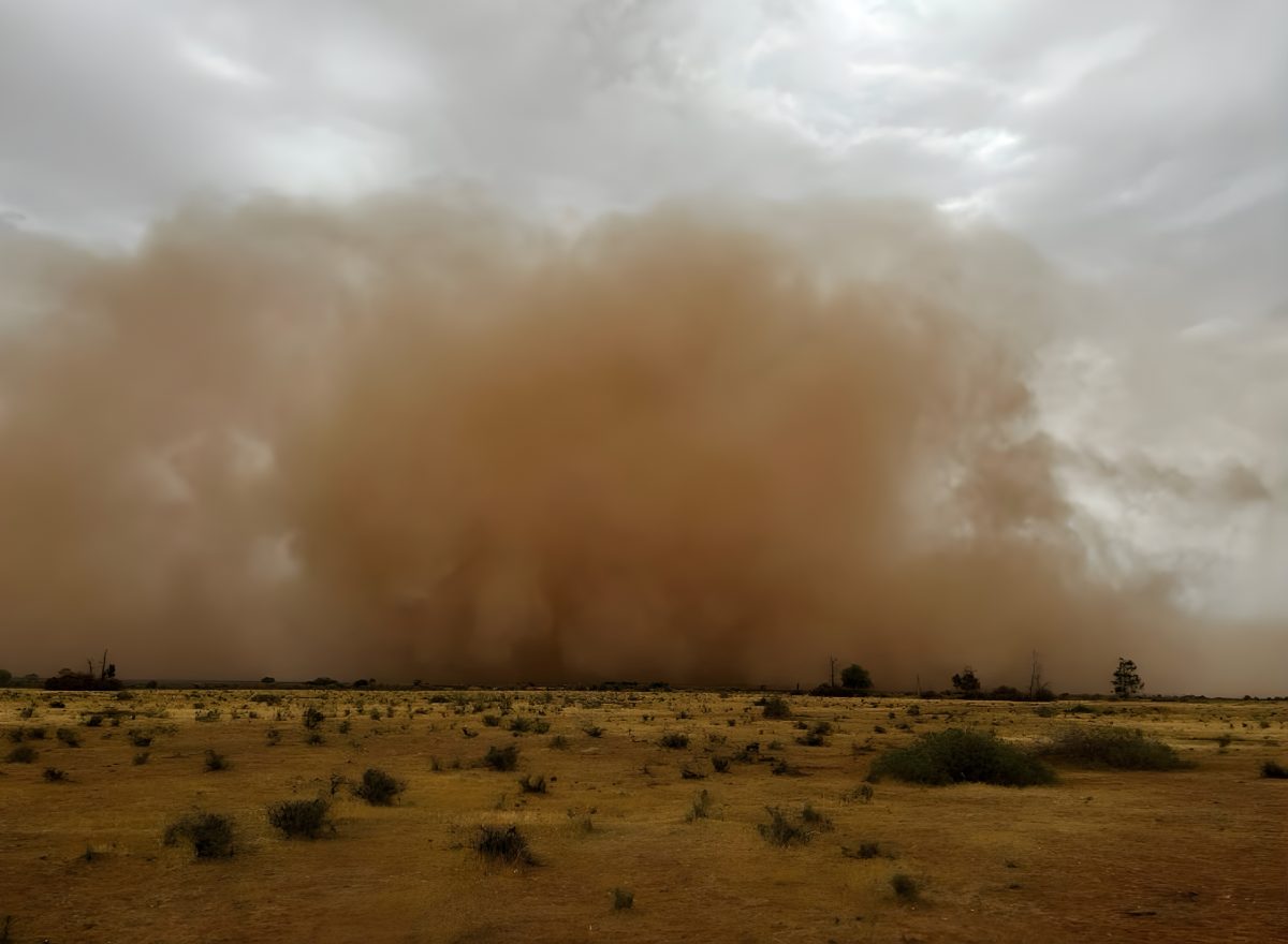 dust storm 