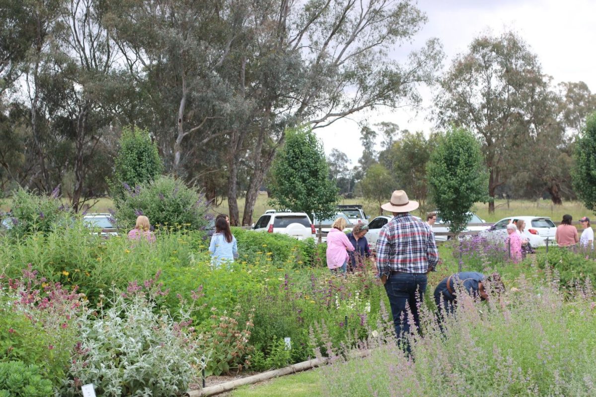 Spring Open Garden Ladysmith Park’s Show Garden