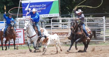 Things to do in the Riverina this week (28 November – 4 December)