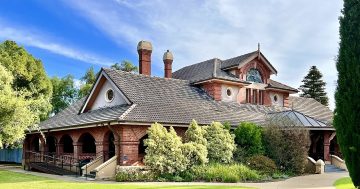 Riverina man charged with animal cruelty after dogs allegedly found locked inside trailer