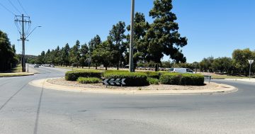 Disqualified driver allegedly gave police false name after 'undertaking' car on Wakaden St roundabout