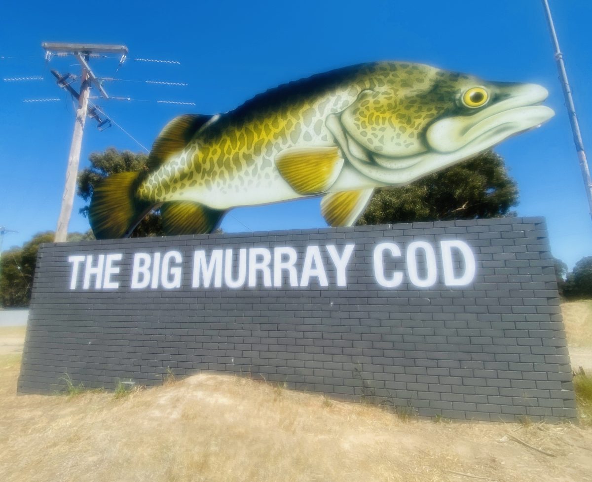 murray cod sign