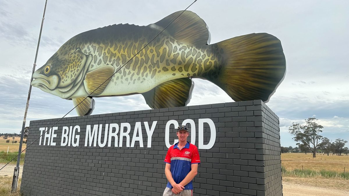 Wagga builder Kyle North-Flanagan plans to give the big metal fish some extra touches.