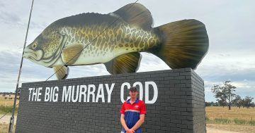 Wagga builder to erect Aussie flag next to Big Murray Cod sign