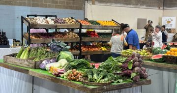 'Alternative to supermarket': Growers Hub officially opens its doors in Wagga