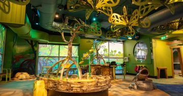 Your guide to a family-friendly holiday in the nation's capital