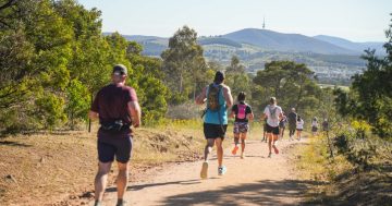 New hands, same heart — Stromlo Running Festival 2026 rego is open