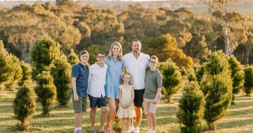 Young family’s backyard idea grows into a Hilltops Christmas tradition