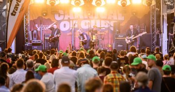 Things to do in the regions this week (14 – 20 November)