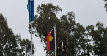 Riverina council set to remove Aboriginal flag and dial back on Welcome to Country ‘overuse’