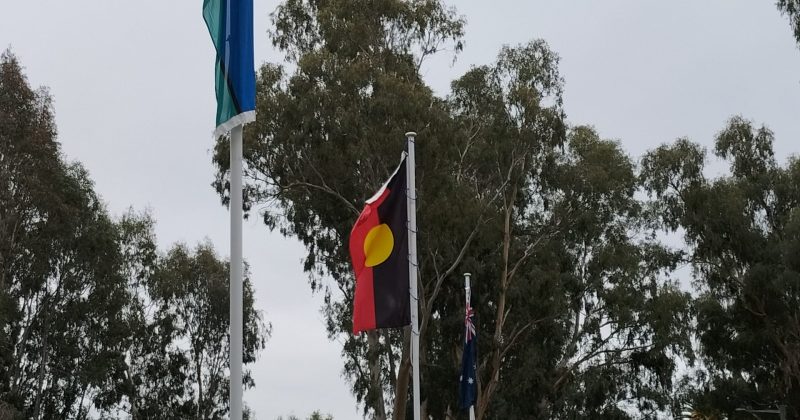Aboriginal flag may continue to fly at Riverina council despite controversial vote to take it down