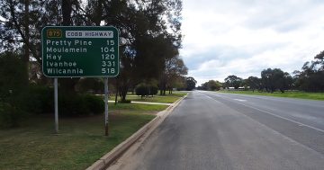 Pilot dies after plane crashes into Riverina paddock