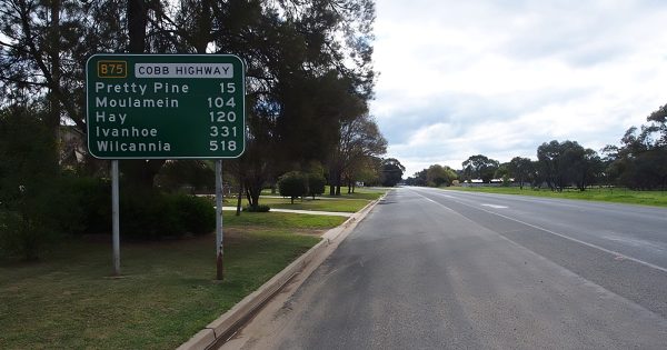 Pilot dies after plane crashes into Riverina paddock