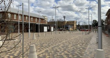 Leeton man accused of trying to steal forklift while drunk before ordering food on Kooyoo Street