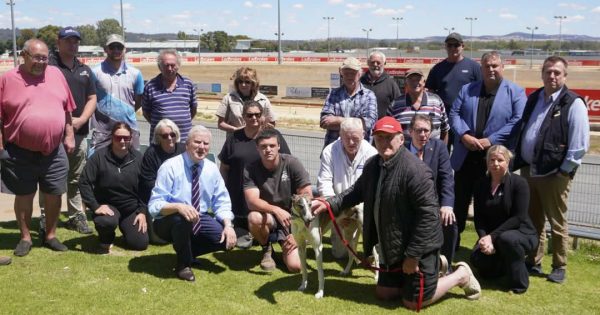 'Don't mess with our sport': Wagga greyhound community rallies to prevent shutdown