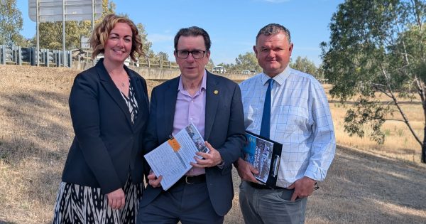 Gobba Bridge duplication petition picks up steam as neighbouring councils jump on board